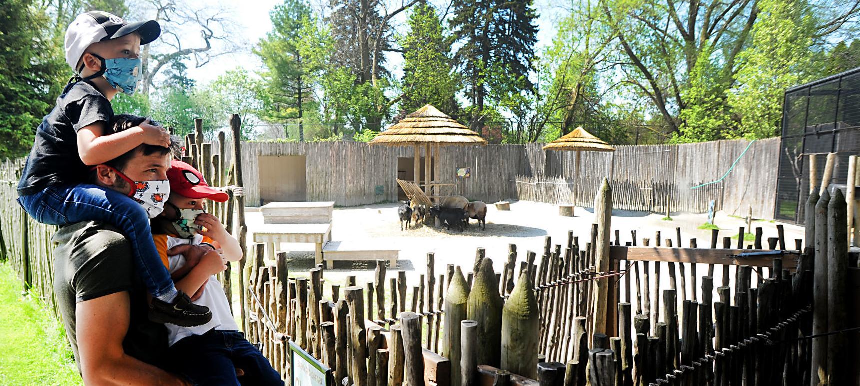 Undercover at the Zoo (copy)
